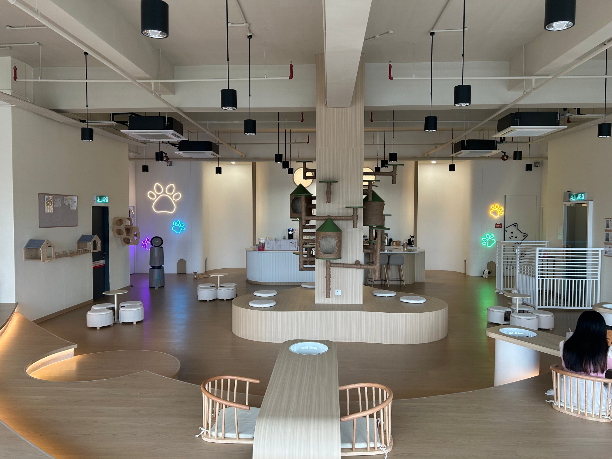 Event Highlight Image 4